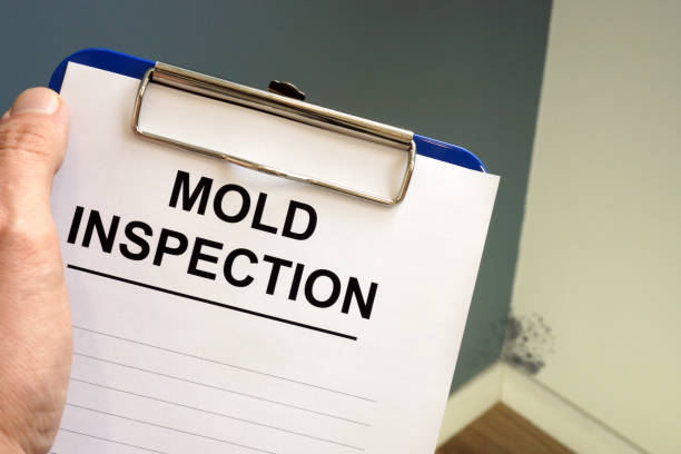 Best Asbestos and Lead Testing During Mold Inspection  in Knightsen, CA